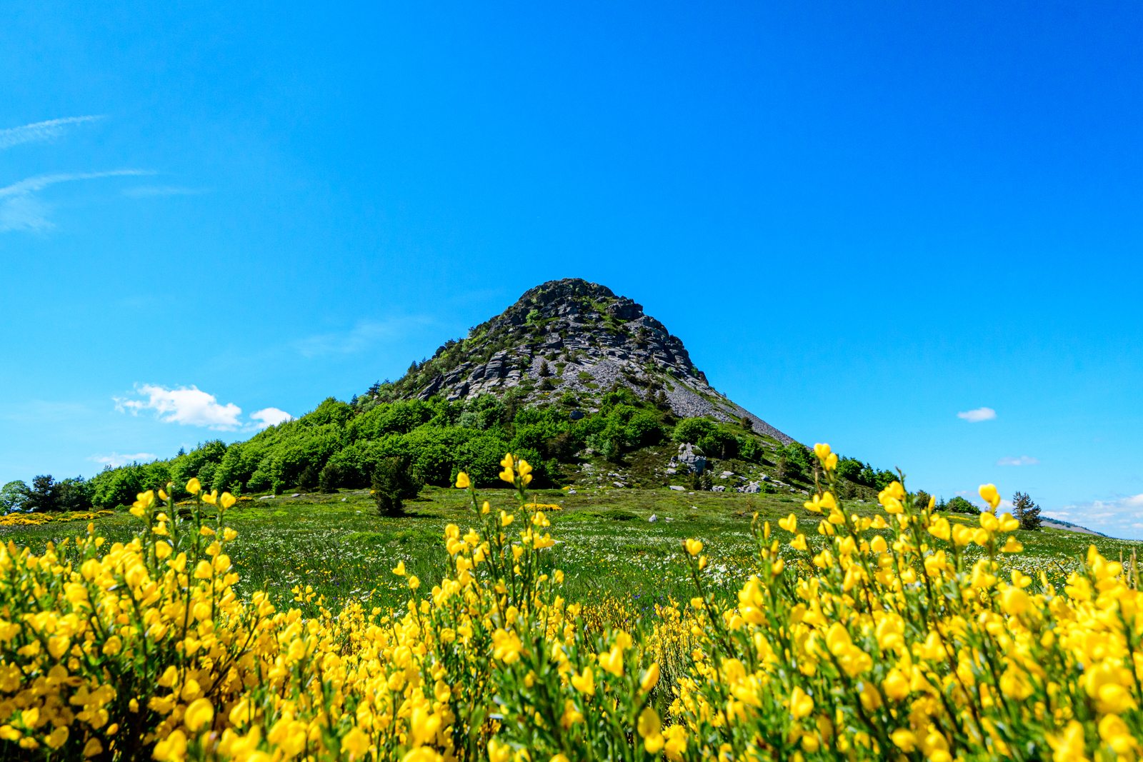 Mont Gerbier de Joncs